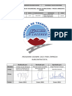 PP-PRG-02 Programa de Seguridad y Salud Ocupacional Ver.10