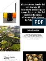 Wepik El Arte Oculto Detras Del Oro Liquido El Fascinante Proceso Paso A Paso de Extraccion Del Aceite de 20231211143340kDW2