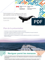 Technologies de Détection Des Baleines Noires de L'atlantique Nord