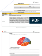 Guía Sistema Nervioso Generalidades