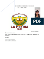 Investigación Gabriela Castro2