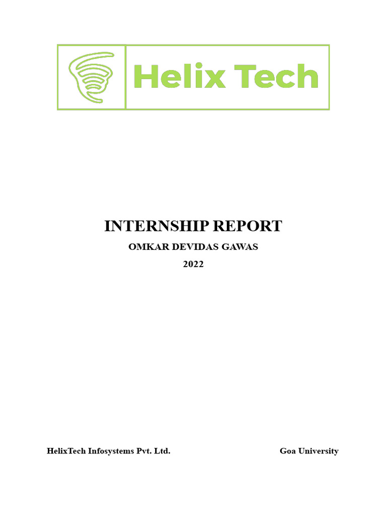 2022 Internship Report Pdf