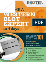 Western_Blotting_Troubleshooting_Handbook