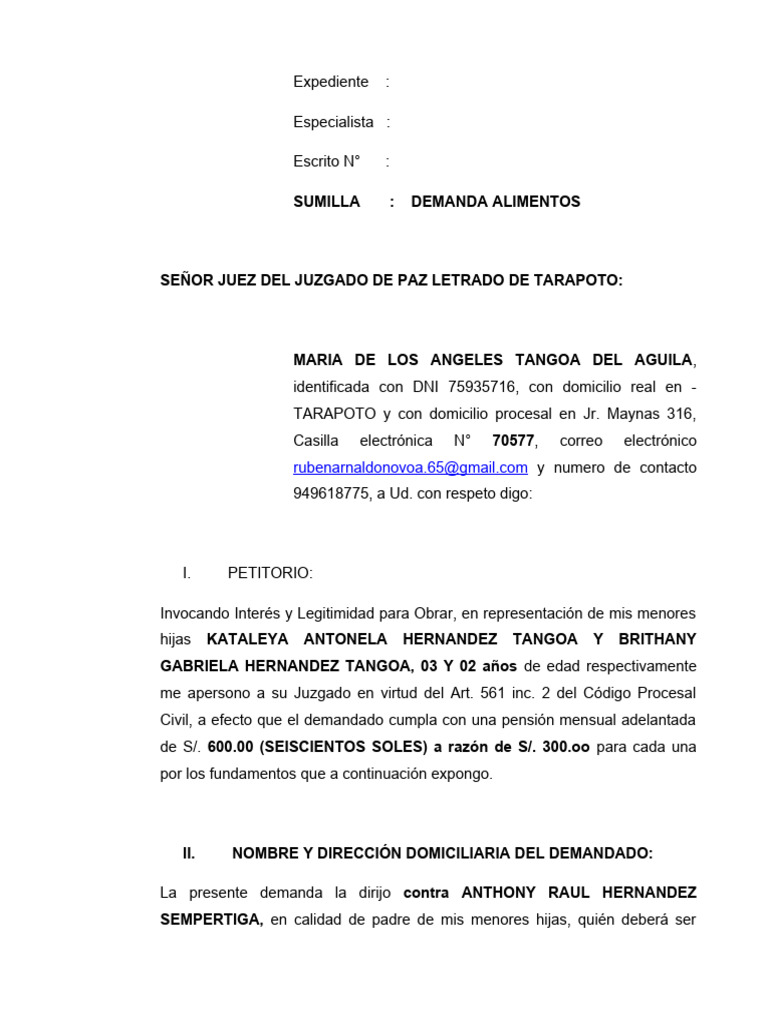 Demanda de Alimentos MARIA DE LOS ANGELES TANGOA (Recuperado ...