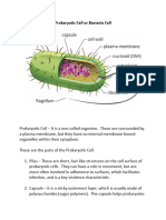 Prokaryotic Cell or Bacteria Cell Research