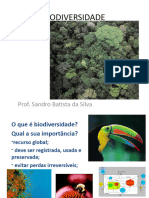 Bio Divers I Dade