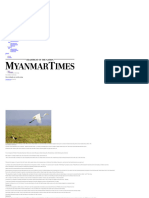 Our Wetlands Are Worth Saving - The Myanmar Times