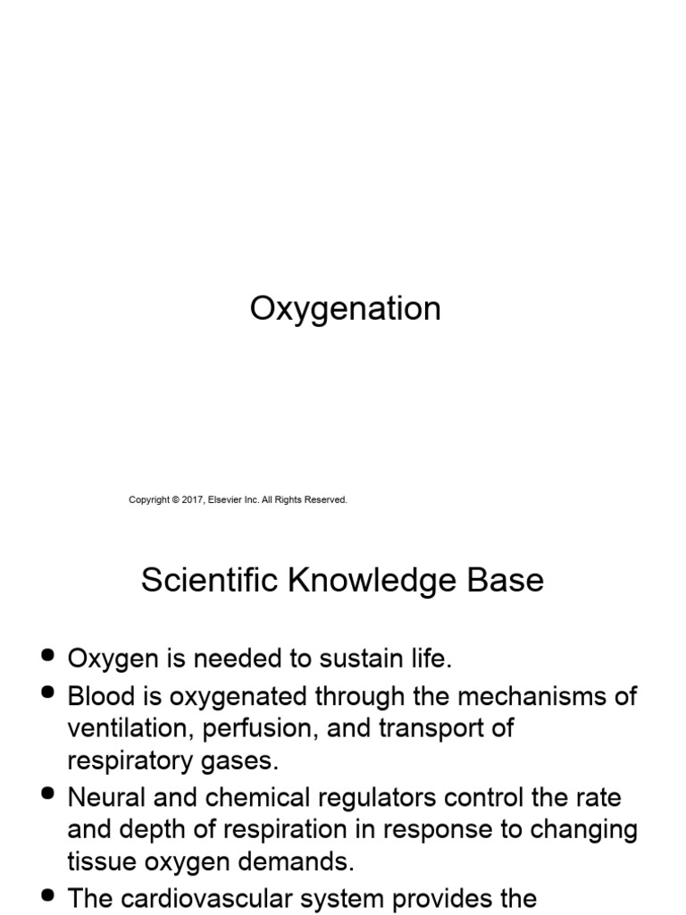 Oxygenation PDF Respiratory System Lung
