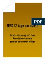 TEMA 12 A Pardas