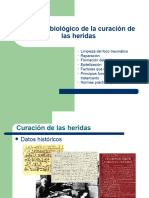 Clase Proceso Biológico de La Curación de Las Heridas