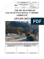 Informe de Seguridad Del Mes de Julio