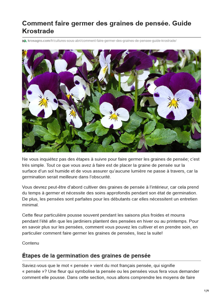 Comment Faire Germer Des Graines de Pensée PDF — free download