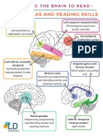 Brain Areas Reading Skill EN1