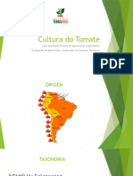 Cultura Do Tomate