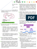 Parto - Resumo Vet