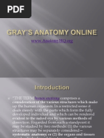 Download GRAYS ANATOMY ONLINE by Matthew Axe SN69164800 doc pdf