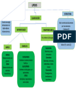 Mapa Conceptual Lípidos