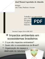 impactos-ambientais-_20231126_224509_0000