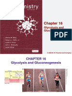 Stryer Biochem10e Lectureslides Ch16