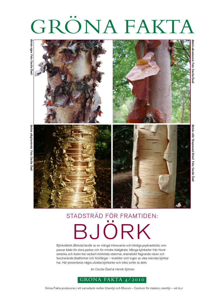 Gröna Fakta 4 A PDF
