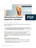 Hierarchiczna Budowa Organizmu Czowieka