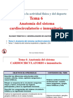 Tema 6 - Cardiocirculatorio e Inmunitario AAFE