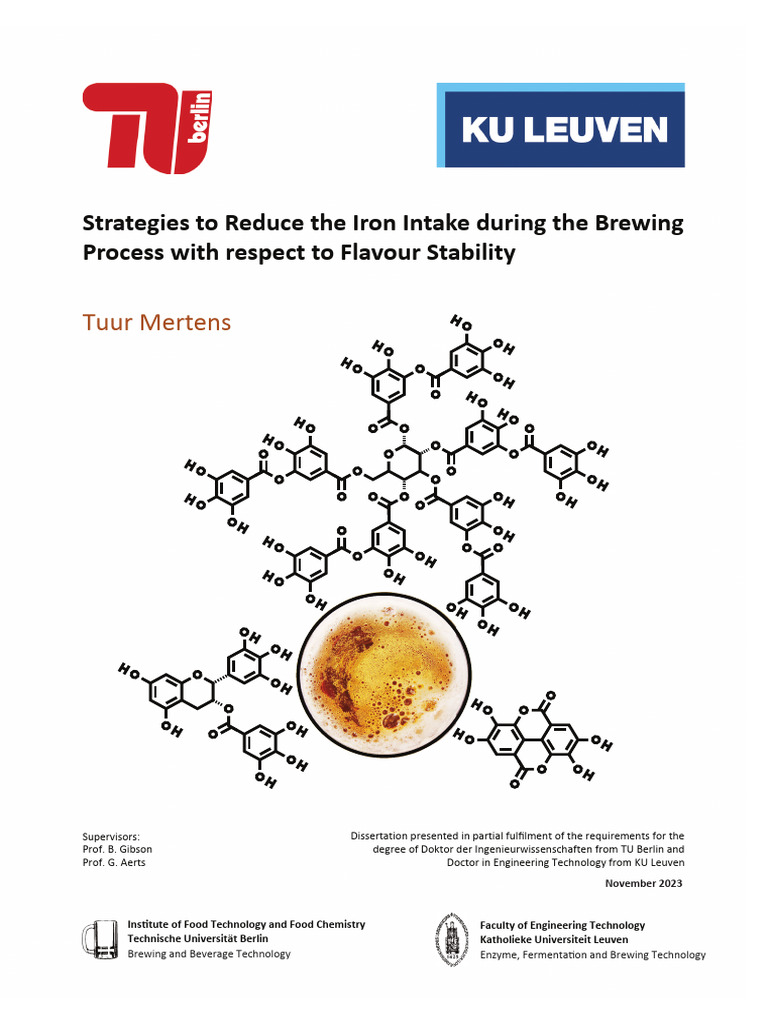 Strategies To Reduce The Iron Intake During The Brewing Process With
