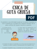 TECNICA de Gota Gruesa