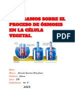 Indagamos Sobre El Proceso de Ósmosis en La Célula Vegetal