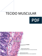 Microscopia Muscular