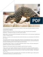 Kenya Conservationists Working With Farmers To Create Space For Giant Pangolins