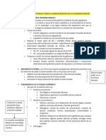 Resumen - PALAZUELOS (Exposición Oral Mía)