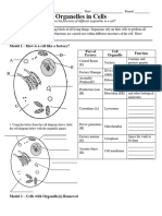 WS Cell Organelle POGIL (23-24)