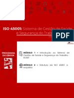 Bsico de Iso 45001 Apostila04