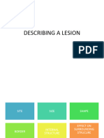 Describing A Lesion (Ho 1)