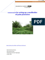 Guidelines For Setting Up A Smallholder Oil Palm Plantation: Idsert Jelsma, Ken Giller and Thomas Fairhurst