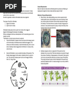 Modes of Reproduction of Animals
