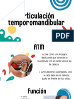 Articulación Temporomandibular