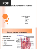 Sistema Reprodutor Slides