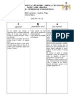 SQA-analisis Facial