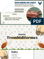 TEMA Trombidiformes - 20231115 - 190129 - 0000