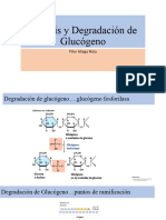 Biosíntesis y Degradación de Glucógeno