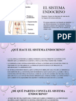 El Sistema Endocrino