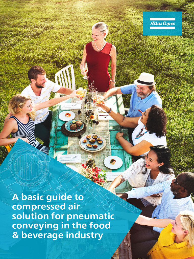 Compressed Air Solutions for Food Conveying | PDF | Technology ...