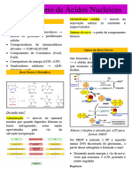 Metabolismo de Ácidos Nucleicos