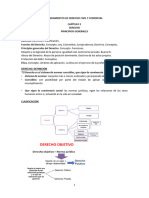 Fundamentos Del Der Civil y Com Unidad