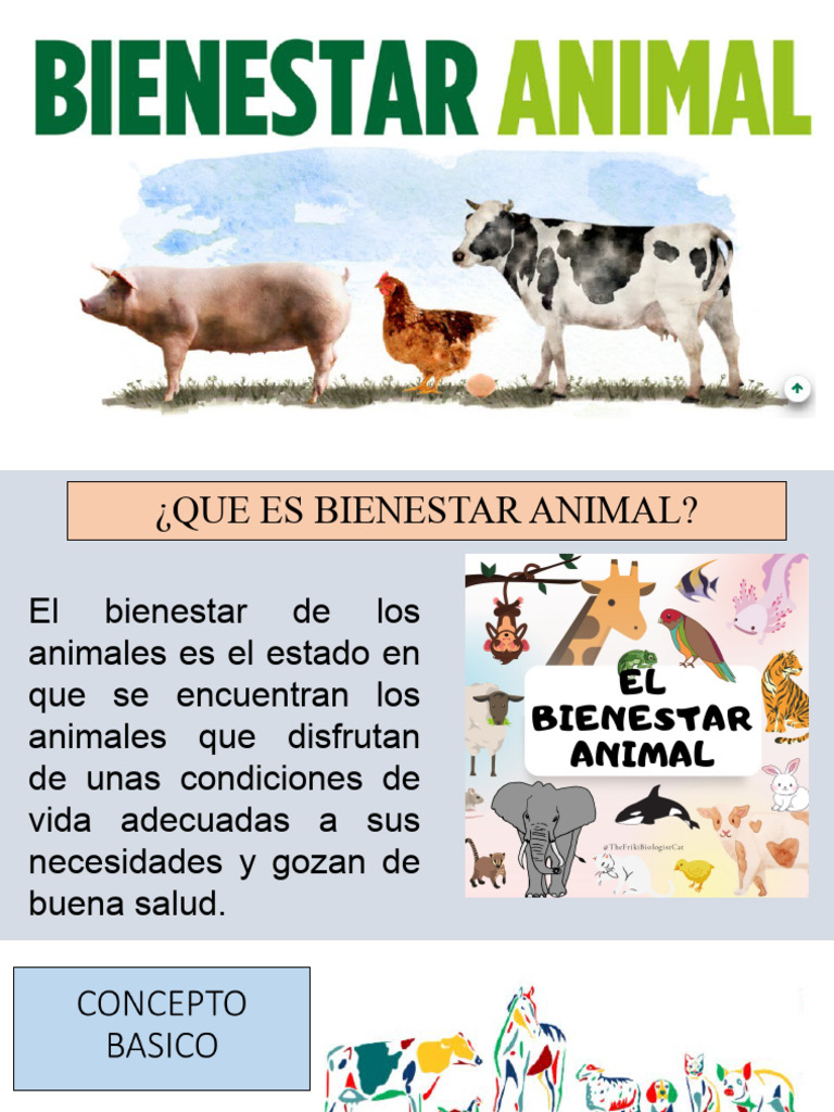 Bienestar Animal | PDF | Cortisol | Bienestar de los animales