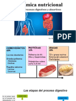 Procesos de Digestion Unidad 2