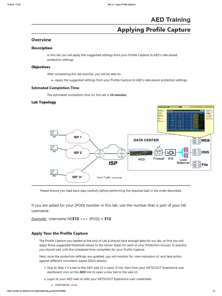 NE - 8 - Apply Profile Capture | PDF | User (Computing) | Networking