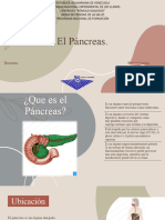 Pancreas